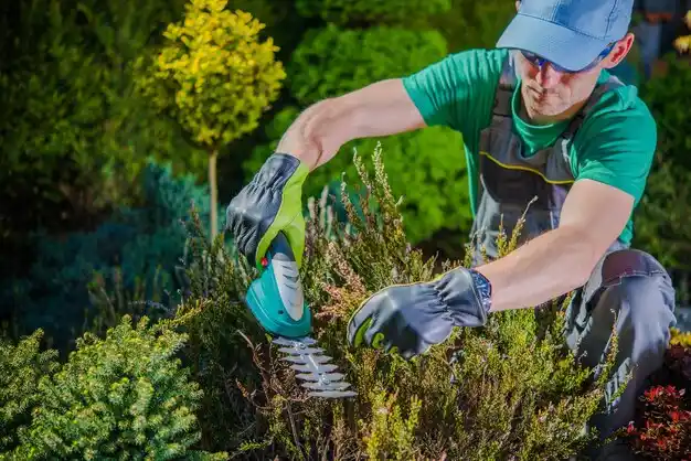 landscaping services Sumrall
